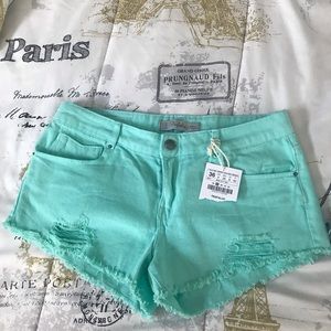 Zara shorts